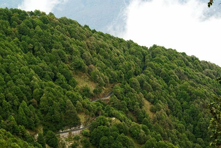 Nainital has some of the most beautiful hill stations in India. You can also take a bus and train help to reach this place. The nearest railway station for this is Kathgodam. He has to go to Nainital by bus or car.